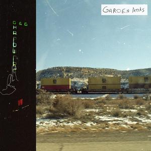 Pokémon Black & White for the NIntendo DS