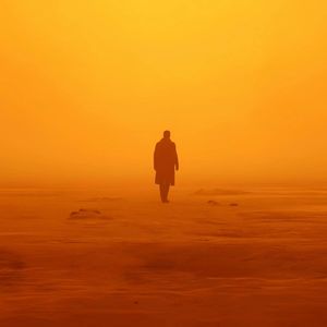 [free]'沙漠风暴'Missy Elliot & Timbaland Hard Boombap