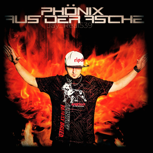 Phönix aus der Asche