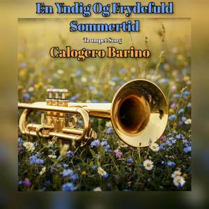 En Yndig Og Frydefuld Sommertid