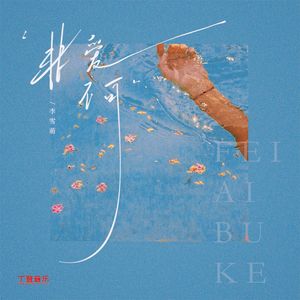 非爱不可（DJ版）