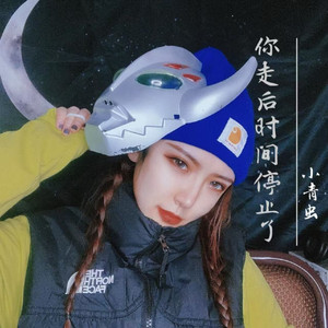 你走后时间停了