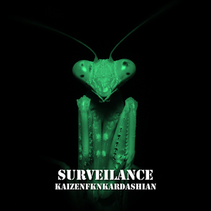 Surveilance
