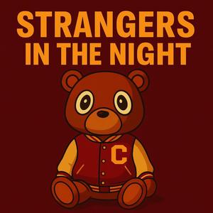 Strangers In The Night