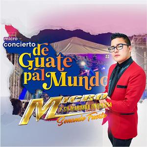 Micro Quebraditas 4: Ramito de Violetas/Felíz Felíz/Qué le pasa a Lupita (En Vivo) (En vivo)