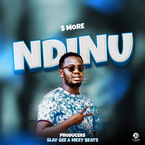 Ndinu