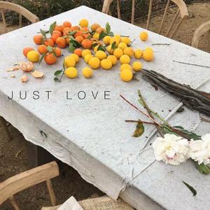 JUST LOVE