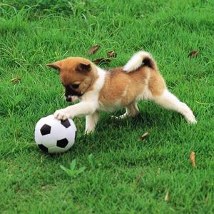 易情freestyle（prod by jinsang）