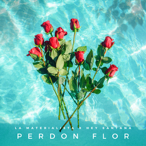 Perdón Flor