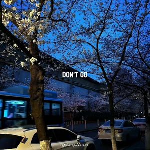 Don't Go