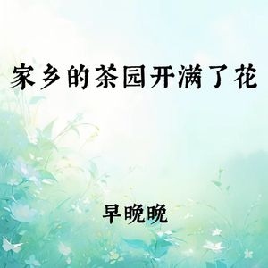 家乡的茶园开满了花