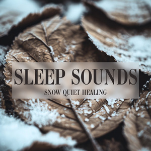 睡眠用BGM 鳥の声と森のギターセラピー