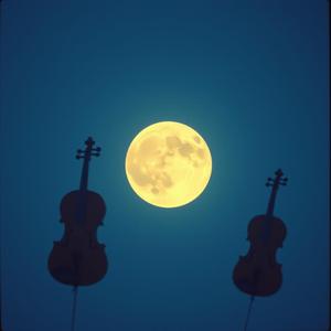 다시 빛으로 (Back to the Light)