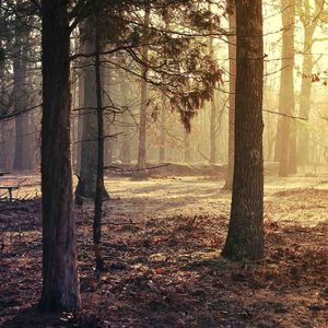 贝加尔湖畔---李健