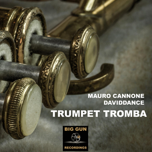 Trumpet Tromba (Original mix)