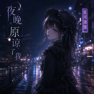 夜晚原谅了我