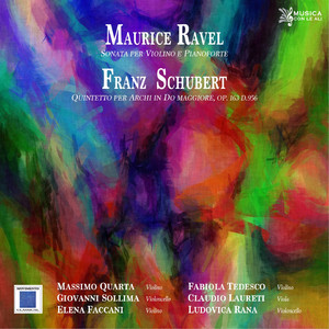 Quintetto d'archi in do maggiore, Op. 163:Allegretto