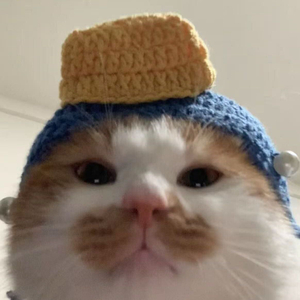 我是崭新的自己