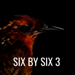 Caotic DJ (Cream Mix)