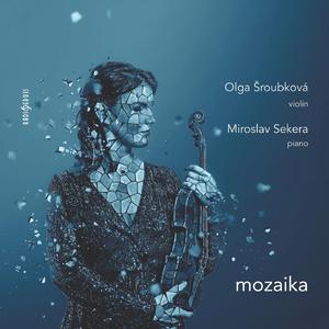 Sonata for Violin NO. 2 in D Major, Op. 94B: I. Moderato