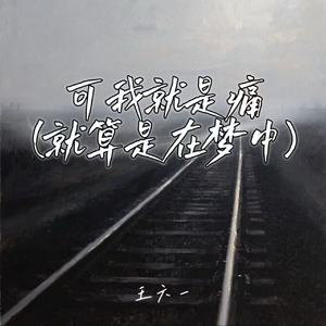 可我就是痛 (就算是在梦中)