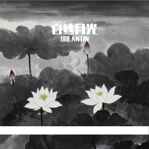 白纱月光