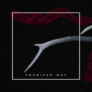 PhadiSAH-MAT