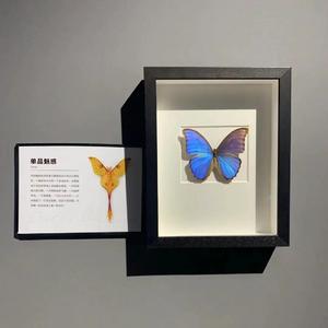 7妹-爱的暴风雨版