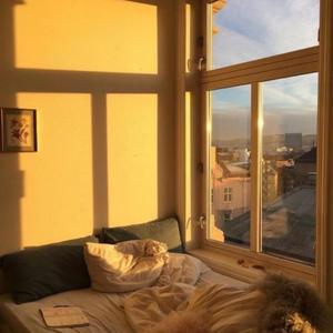 혼자인 게 나쁜 선택은 아니라서