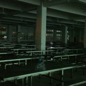 For the seafood Market