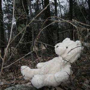 death to bridgette fortin