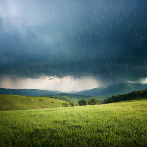 The Shape Of Rain On Worn Stone