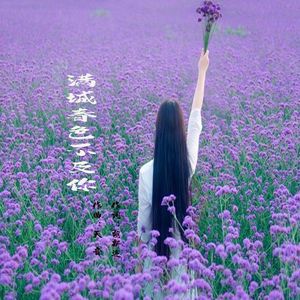 满城春色不及你