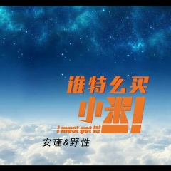 谁特么买小米 (DJ版)