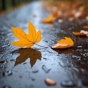 病态的爱（合唱版）