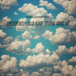 Freedom Of The Sky