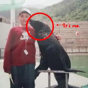 想你的时候 （无修音demo 1st 5.23）