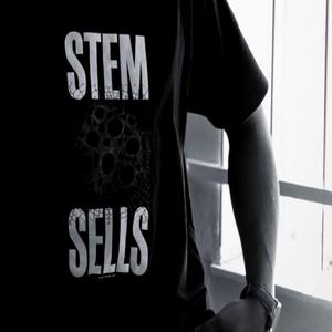 Superdrive (feat. USanele)