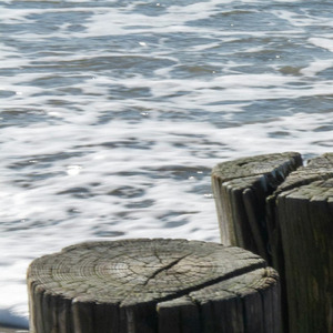 Wandering Through the Halo