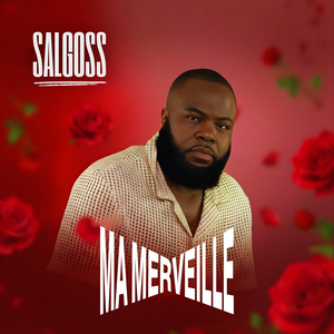 Ma Merveille (accoustique)