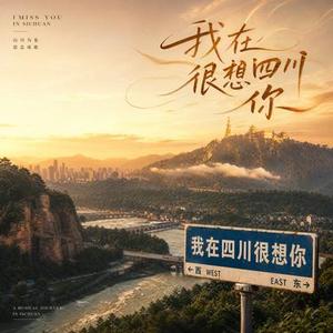 我在南充很想你