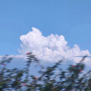 我喜欢上你时的内心活动