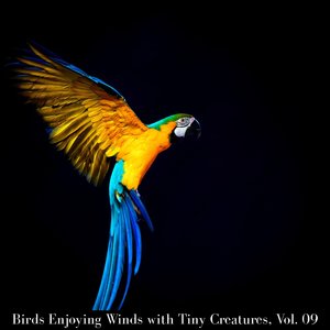 Endless Sound of the Rain