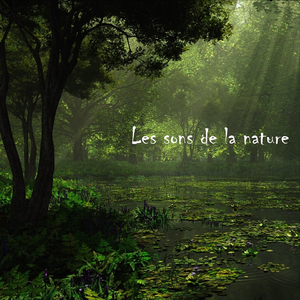 Bourrasque