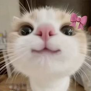 Taaron Ke Shehar (Slowed + Reverb)