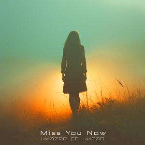 Miss You Now (feat. Imran)
