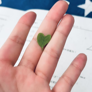 失去比拥有更深刻