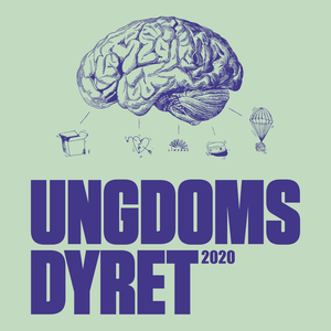 Draget af drager og luftkasteller (Live)