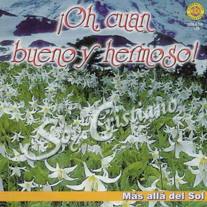 Poupurri (Que Hermosas Son Las Horas, Nos Vamos a Gozar, A Que tu no Sabes, Hay Vida en Jesus, Solamente en Cristo)