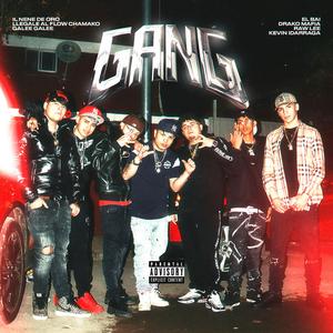 Gang (feat. Drakomafia, Llegale Al Flow Chamako, Raw-Lee, Kevin Idarraga, DBS & EL BAI)